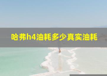 哈弗h4油耗多少真实油耗