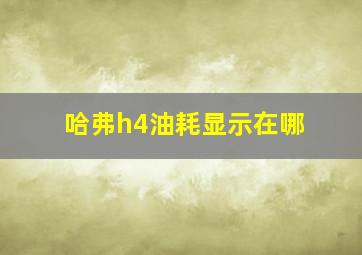 哈弗h4油耗显示在哪