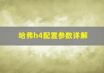 哈弗h4配置参数详解