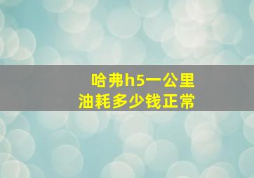 哈弗h5一公里油耗多少钱正常