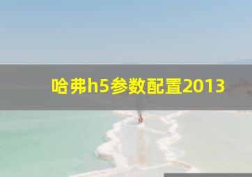 哈弗h5参数配置2013