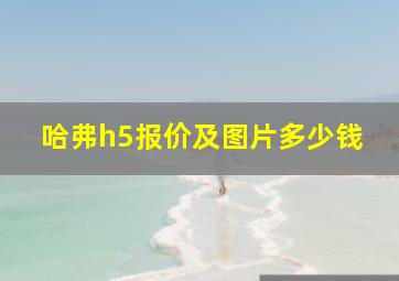 哈弗h5报价及图片多少钱