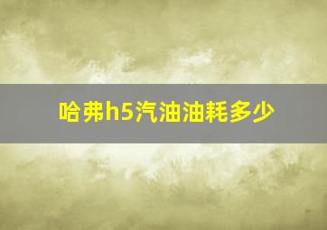 哈弗h5汽油油耗多少