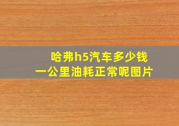 哈弗h5汽车多少钱一公里油耗正常呢图片