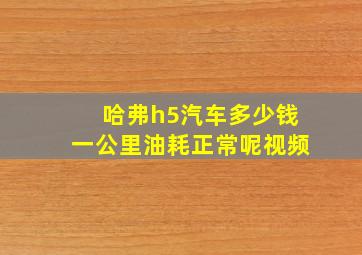 哈弗h5汽车多少钱一公里油耗正常呢视频