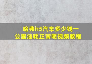 哈弗h5汽车多少钱一公里油耗正常呢视频教程