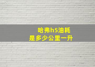 哈弗h5油耗是多少公里一升