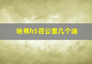 哈弗h5百公里几个油