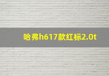 哈弗h617款红标2.0t