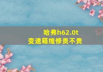 哈弗h62.0t变速箱维修贵不贵