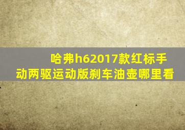 哈弗h62017款红标手动两驱运动版刹车油壶哪里看