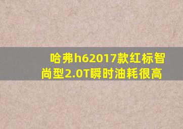 哈弗h62017款红标智尚型2.0T瞬时油耗很高