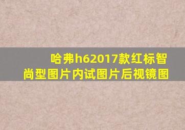 哈弗h62017款红标智尚型图片内试图片后视镜图