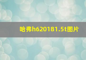 哈弗h620181.5t图片