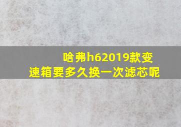 哈弗h62019款变速箱要多久换一次滤芯呢