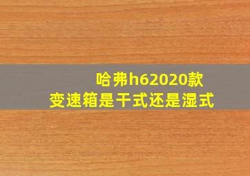 哈弗h62020款变速箱是干式还是湿式