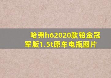 哈弗h62020款铂金冠军版1.5t原车电瓶图片