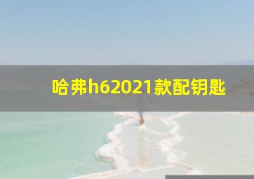 哈弗h62021款配钥匙