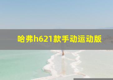 哈弗h621款手动运动版