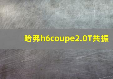 哈弗h6coupe2.0T共振