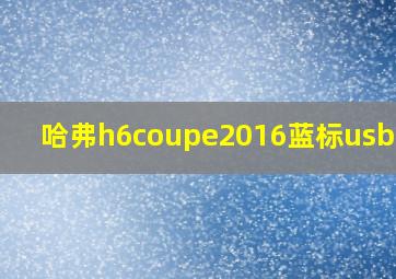 哈弗h6coupe2016蓝标usb接口