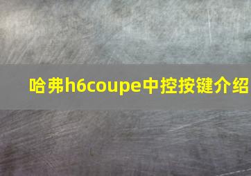 哈弗h6coupe中控按键介绍