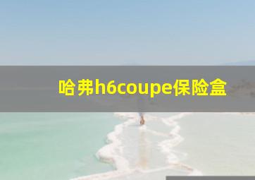 哈弗h6coupe保险盒