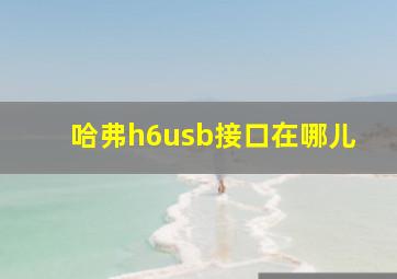 哈弗h6usb接口在哪儿