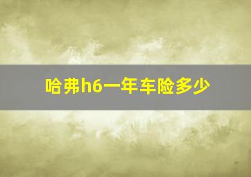 哈弗h6一年车险多少