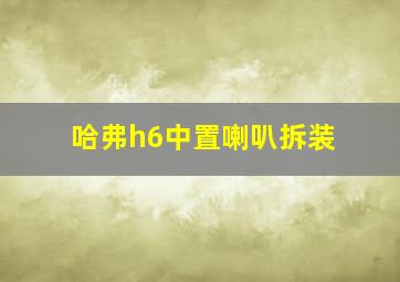 哈弗h6中置喇叭拆装