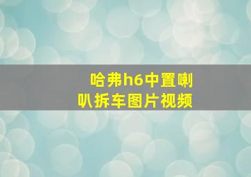 哈弗h6中置喇叭拆车图片视频