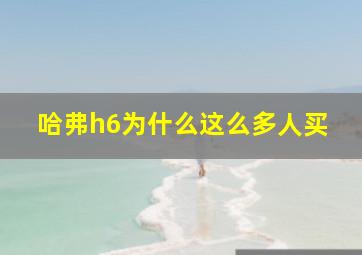 哈弗h6为什么这么多人买