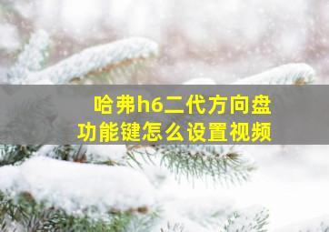 哈弗h6二代方向盘功能键怎么设置视频