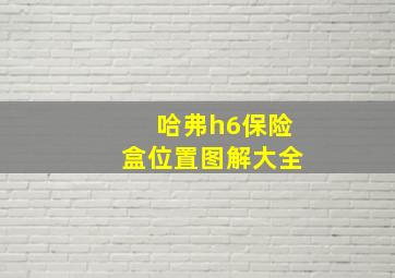 哈弗h6保险盒位置图解大全