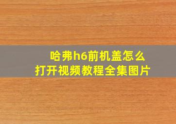 哈弗h6前机盖怎么打开视频教程全集图片