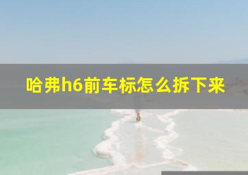 哈弗h6前车标怎么拆下来