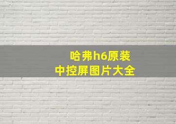 哈弗h6原装中控屏图片大全