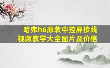 哈弗h6原装中控屏接线视频教学大全图片及价格