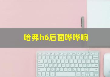 哈弗h6后面哗哗响