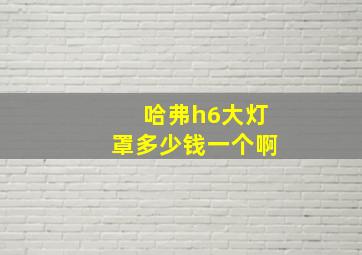 哈弗h6大灯罩多少钱一个啊