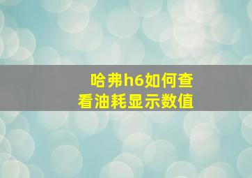 哈弗h6如何查看油耗显示数值