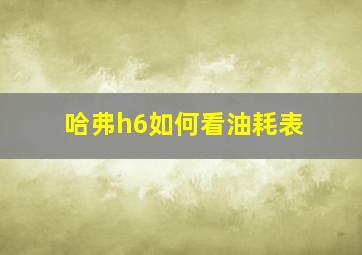 哈弗h6如何看油耗表