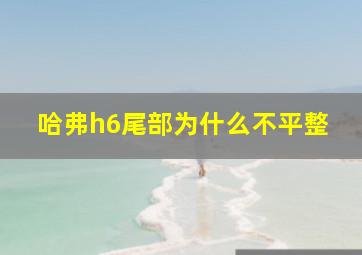 哈弗h6尾部为什么不平整