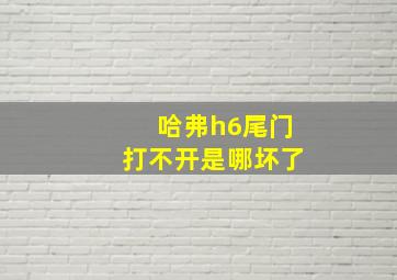 哈弗h6尾门打不开是哪坏了