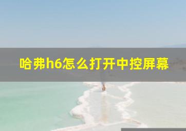 哈弗h6怎么打开中控屏幕