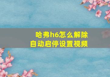 哈弗h6怎么解除自动启停设置视频