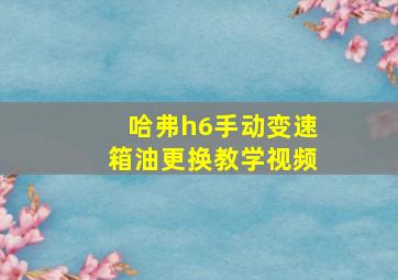 哈弗h6手动变速箱油更换教学视频