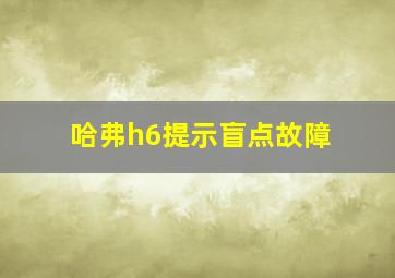 哈弗h6提示盲点故障