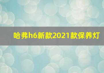 哈弗h6新款2021款保养灯