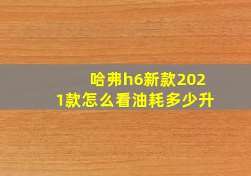 哈弗h6新款2021款怎么看油耗多少升